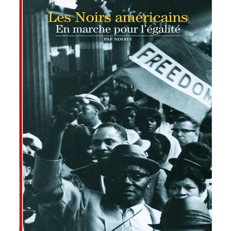 Les Noirs Américains En Marche Pour Legalité