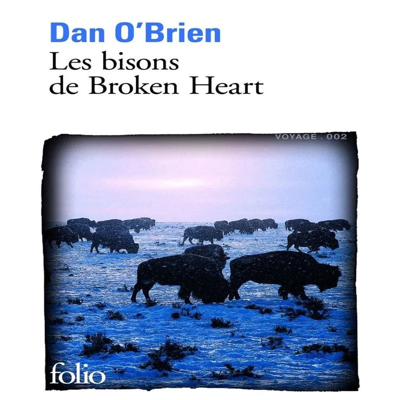 Les bisons de Broken Heart