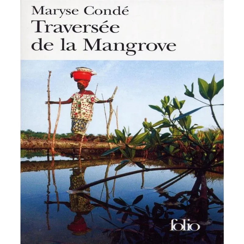 TRAVERSéE de la mangrove