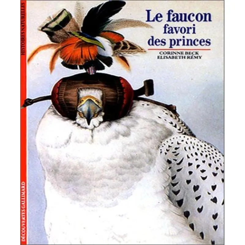 Le Faucon Favori Des Princes
