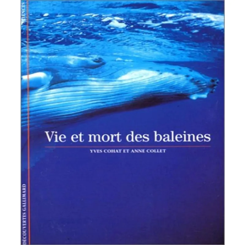 Vie et mort des baleines