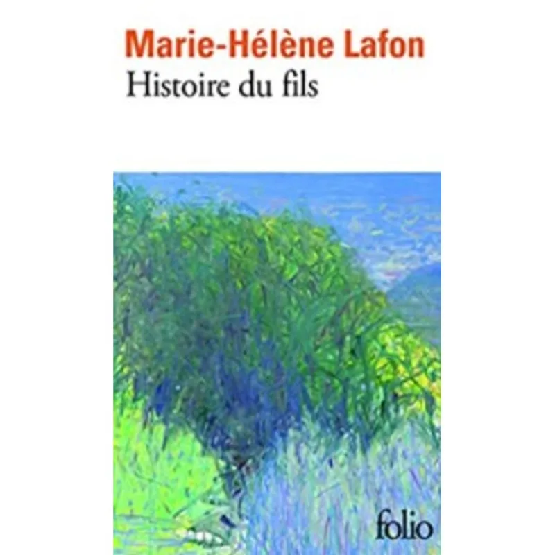 HISTOIRE DU FILS