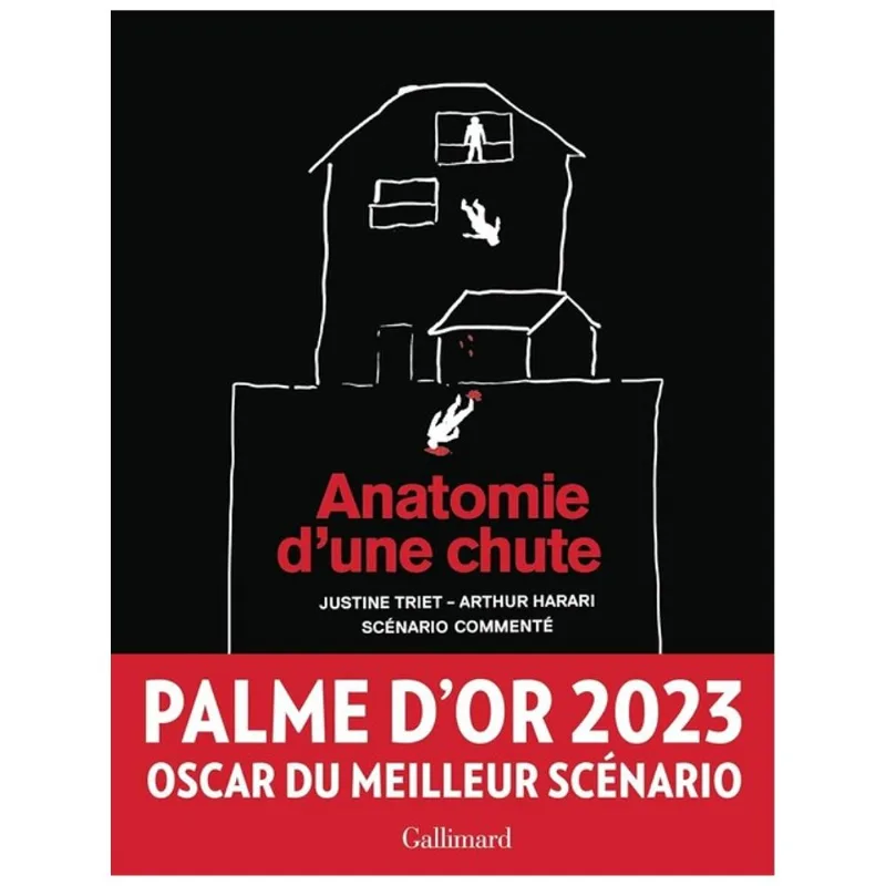 ANATOMIE D'UNE CHUTE