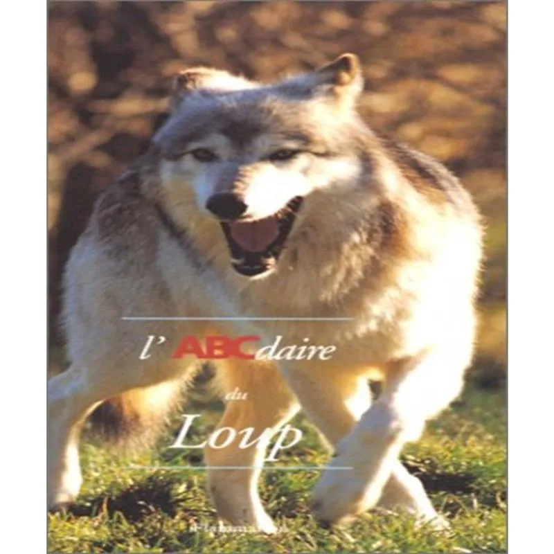 Labcdaire Du Loup