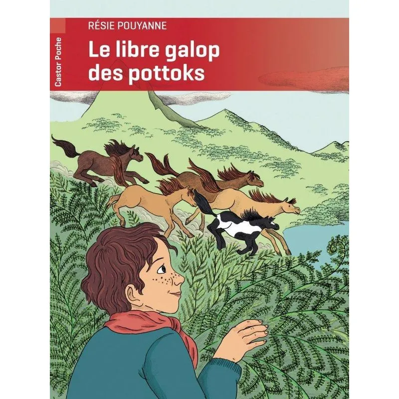 Le Libre Galop Des Pottoks