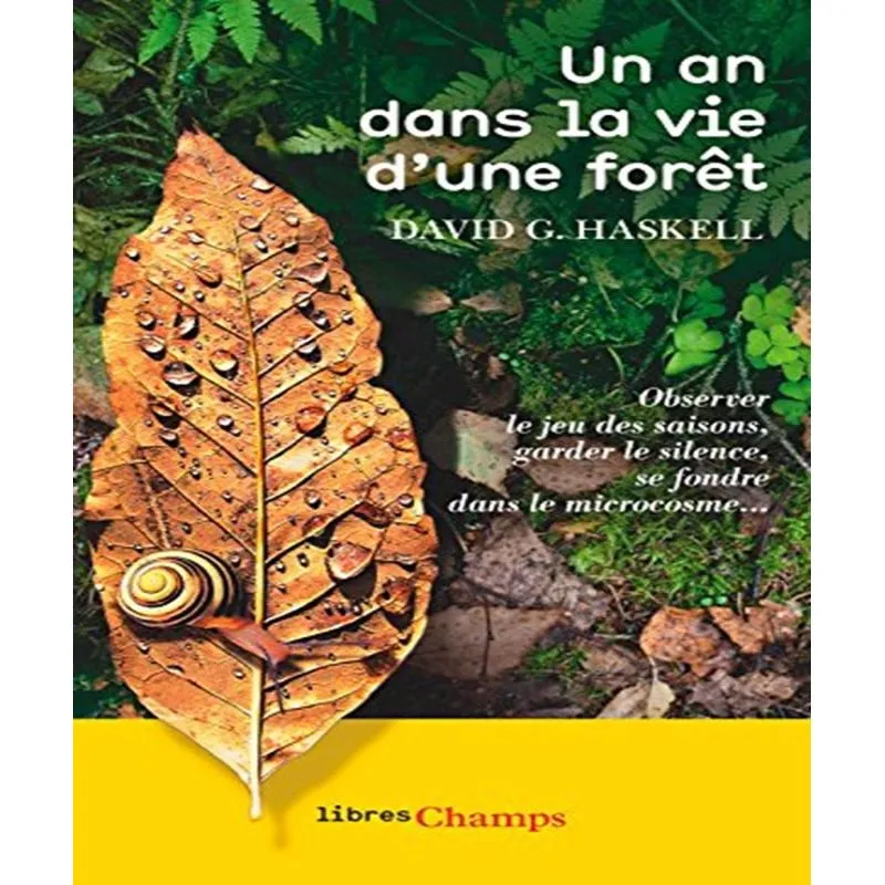 Un An Dans La Vie Dune Forêt