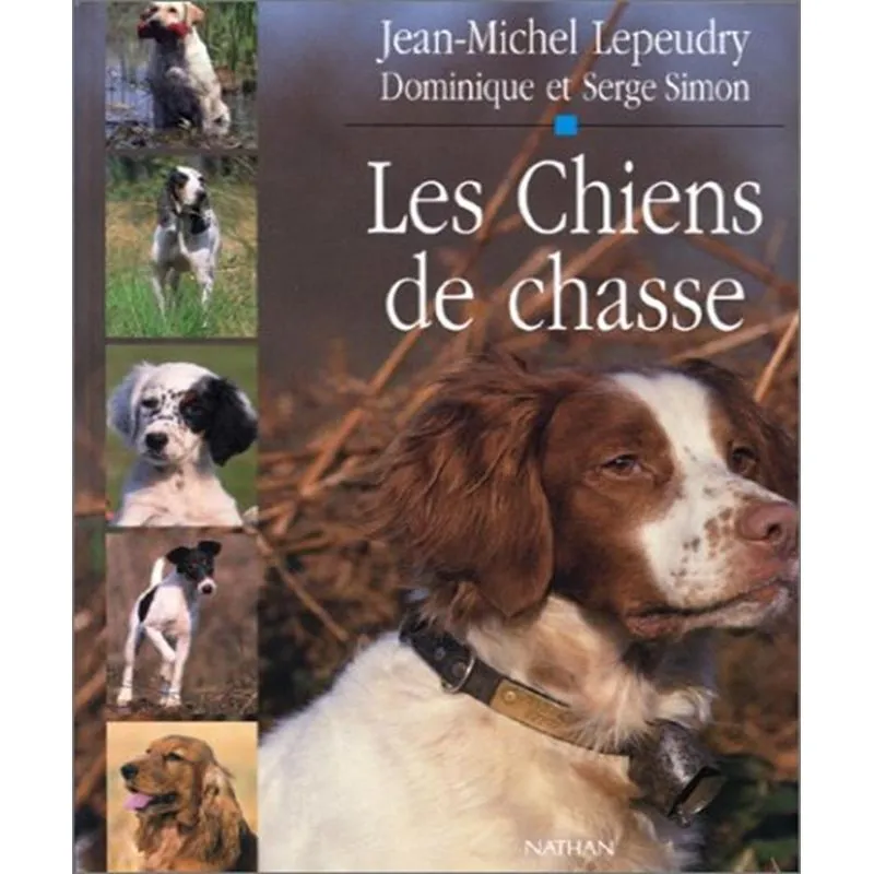 Les Chiens De Chasse