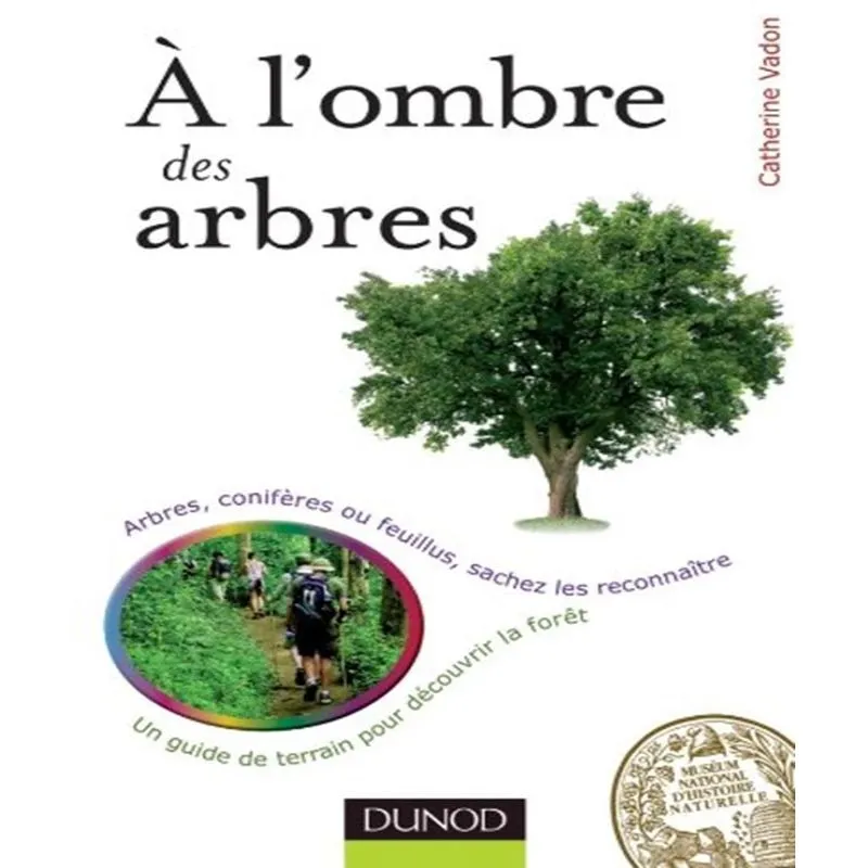 A Lombre Des Arbres