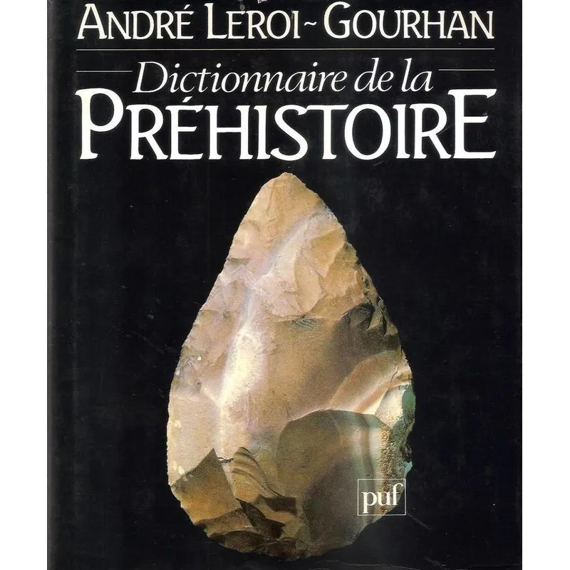 Dictionnaire De La Préhistoire