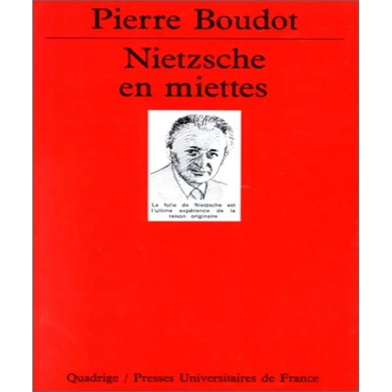 Nietzsche En Miettes