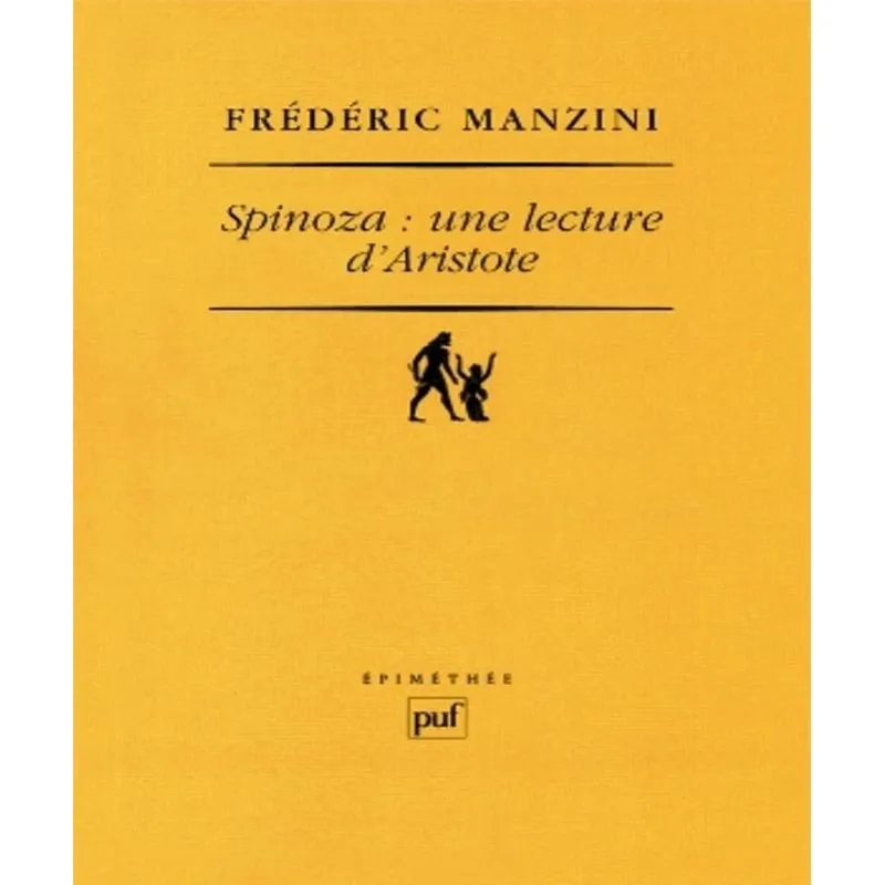 Spinoza: Une Lecture Daristote