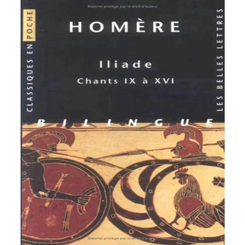 Iliade 2 - chants ix à xvi