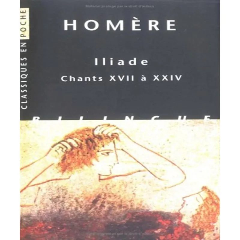 Iliade 3 - Chants Xvii À Xxiv