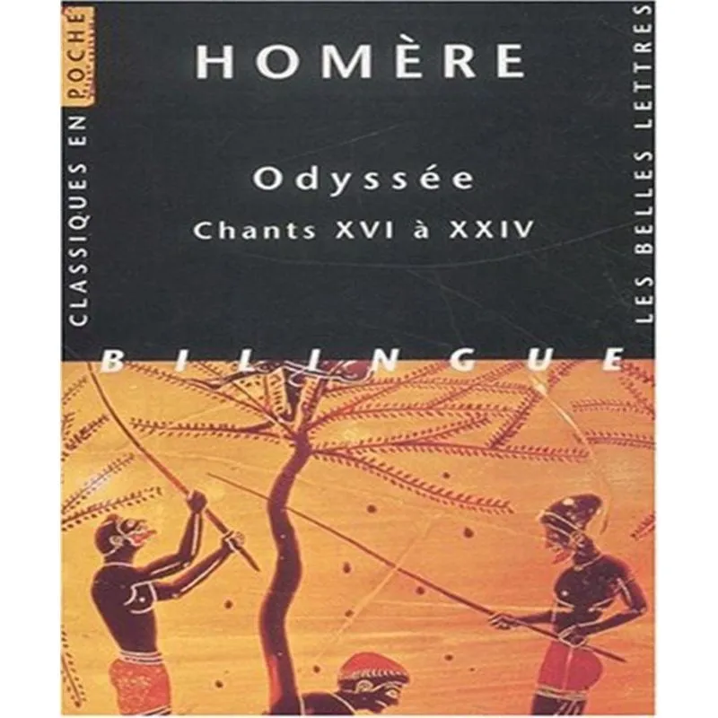 Odyssée 3 - Chants Xvi à Xxiv