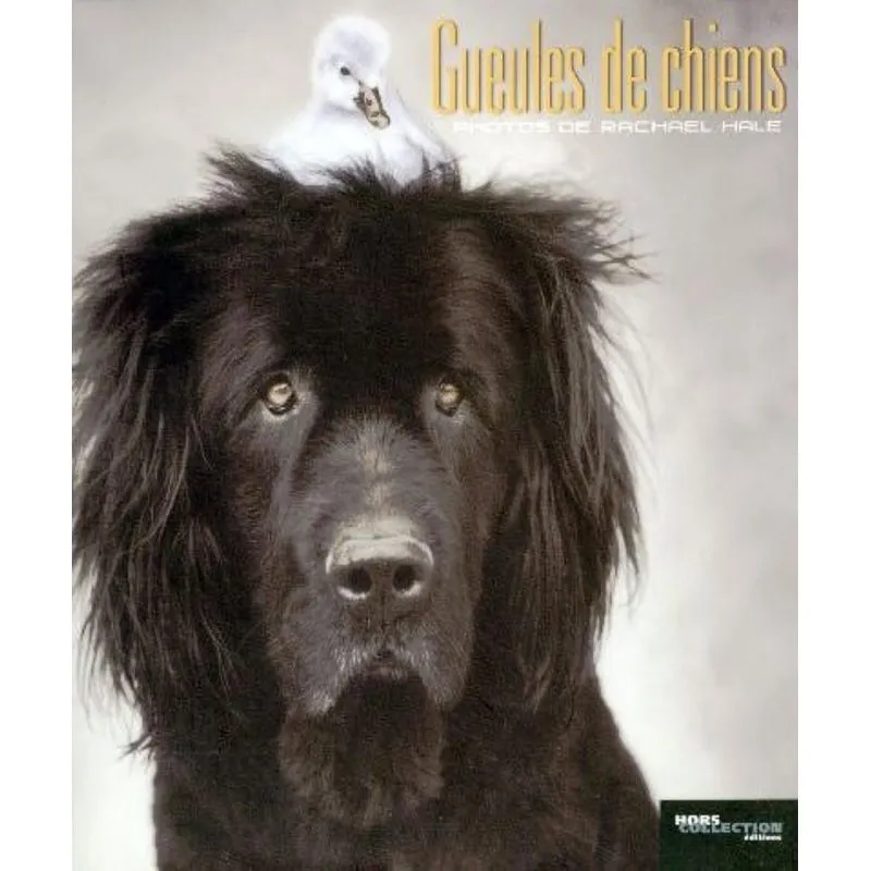 Geules De Chiens
