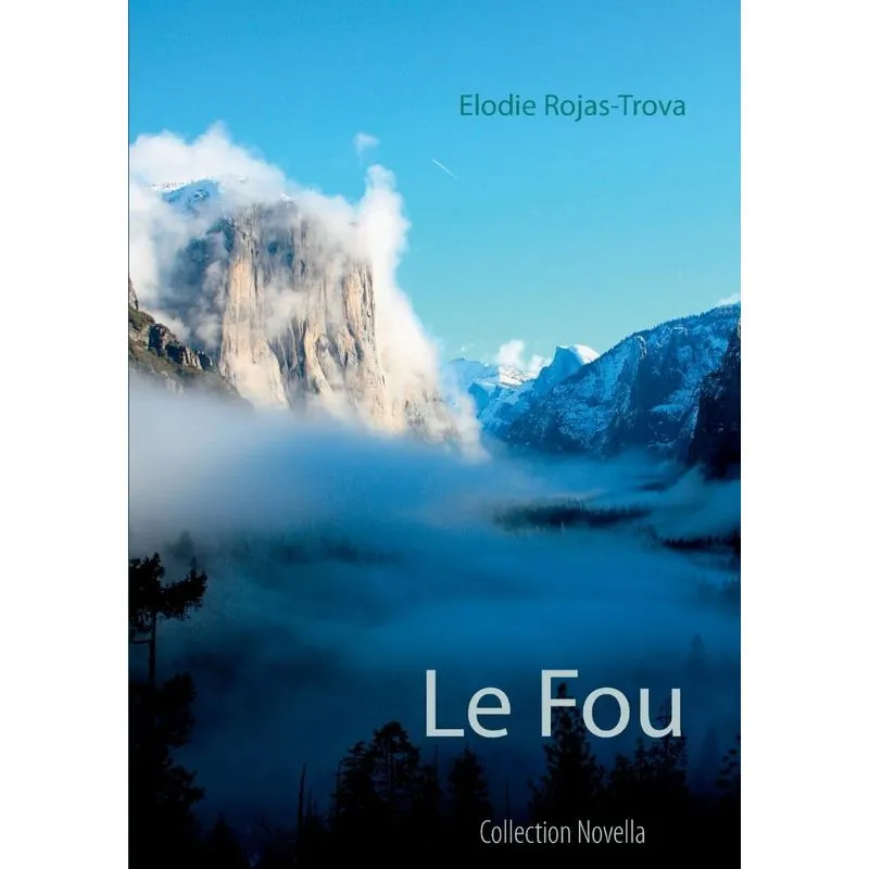 Le Fou
