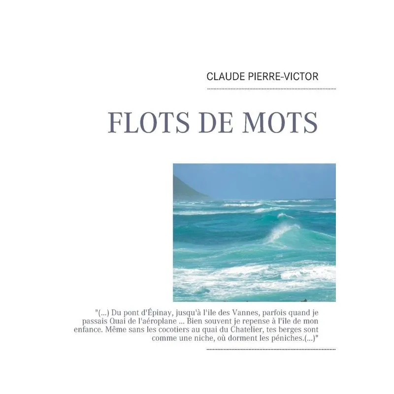 Flot de mots