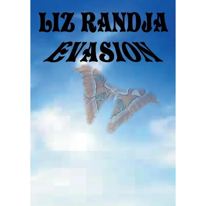 Evasion