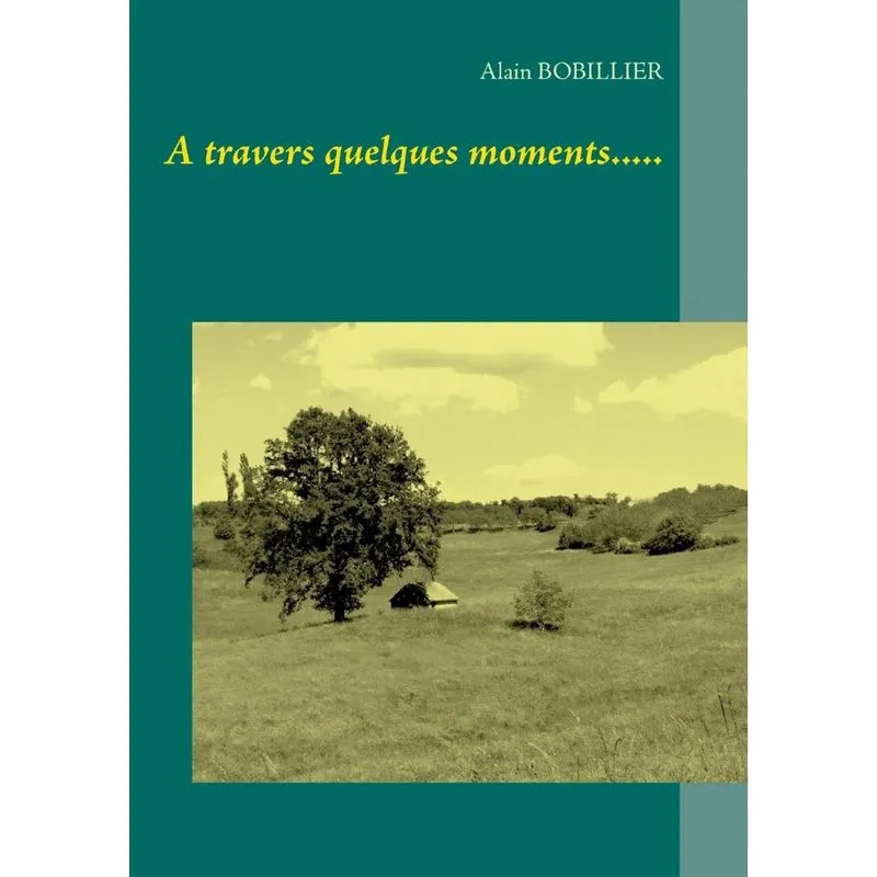 A travers quelques moments.....