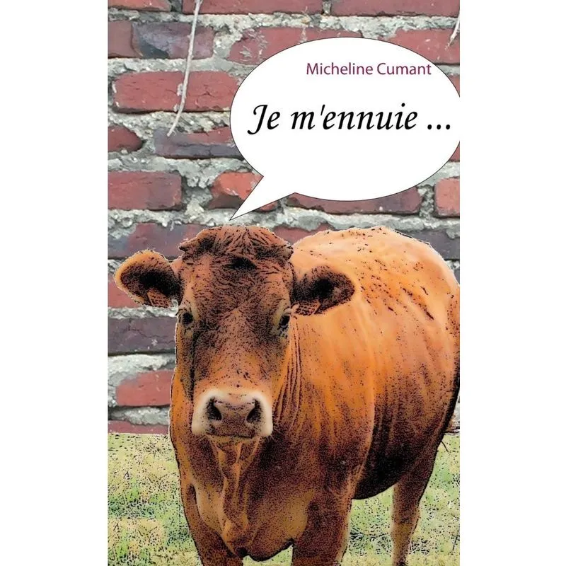 Je mennuie ...