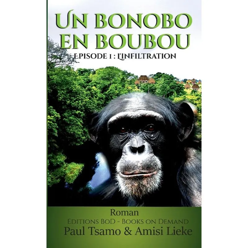 Un bonobo en boubou