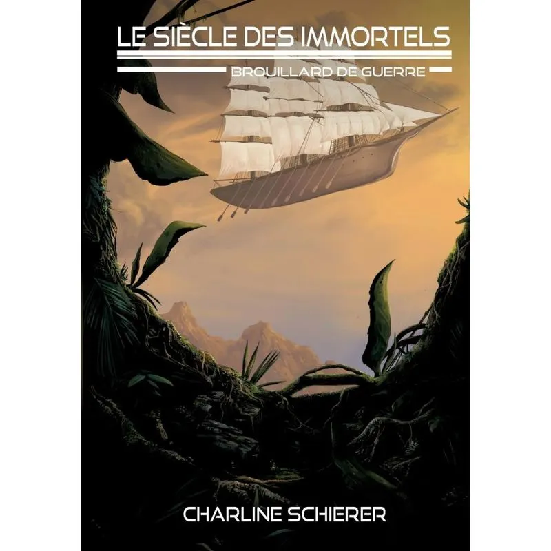 Brouillard de guerre