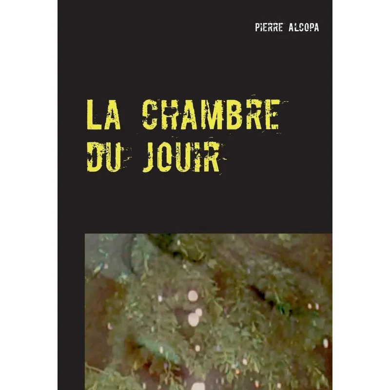 La chambre du jouir
