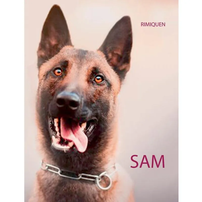 SAM