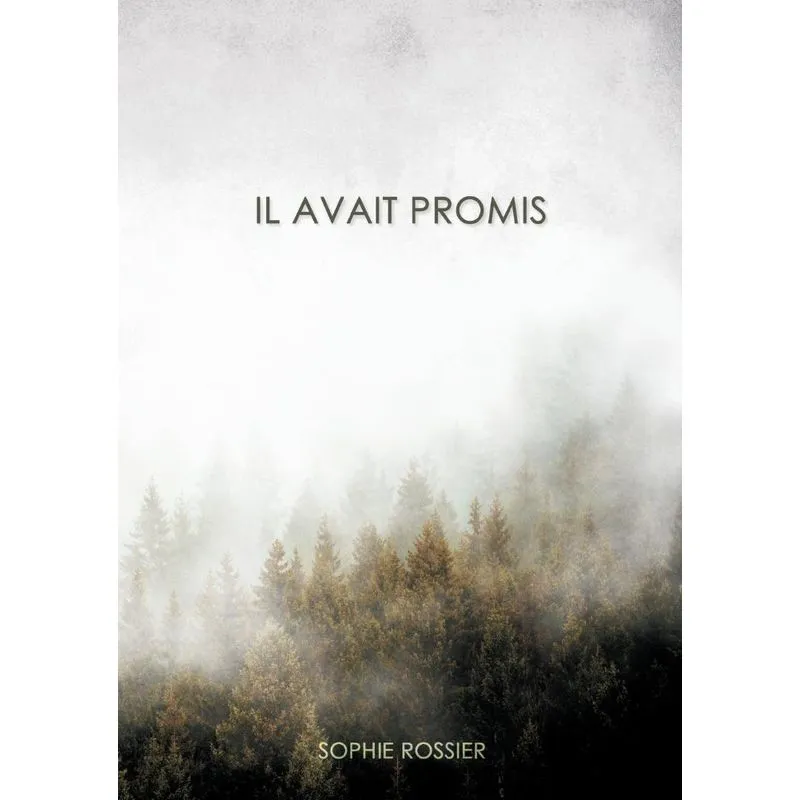 Il avait promis
