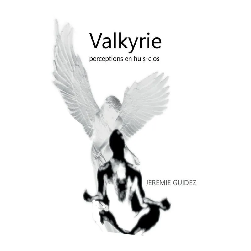 valkyrie, perceptions en huis-clos