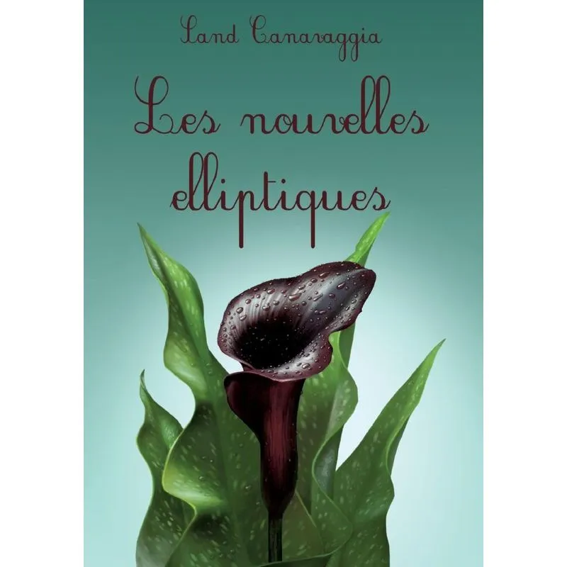 Les nouvelles elliptiques