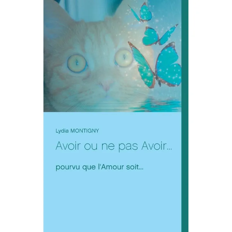 Avoir Ou Ne Pas Avoir...
