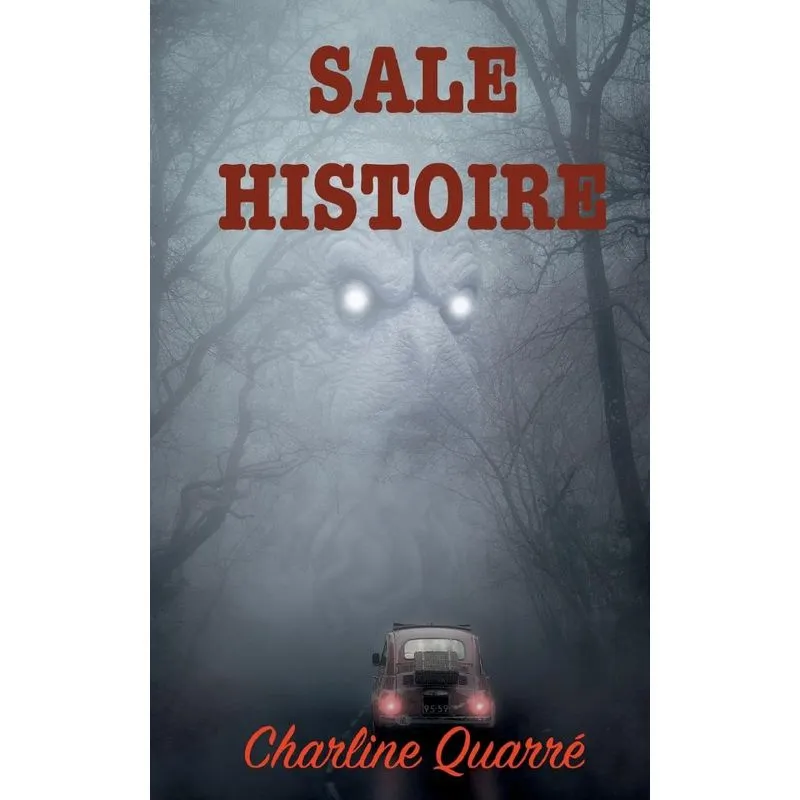 Sale Histoire