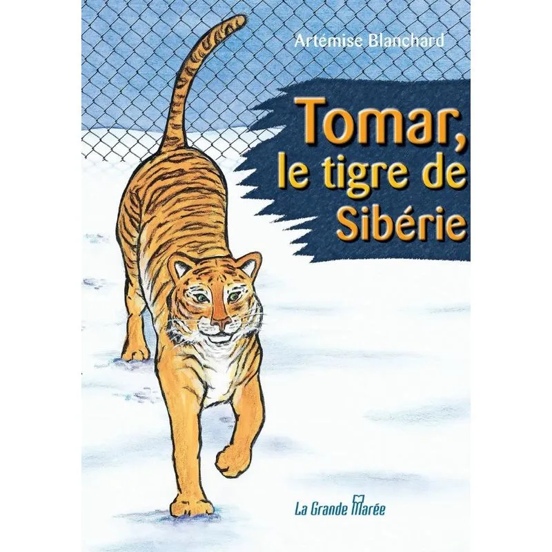 Tomar, le tigre de Sibérie