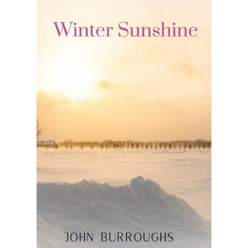 Winter Sunshine