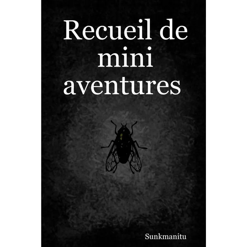 Recueil de mini aventures