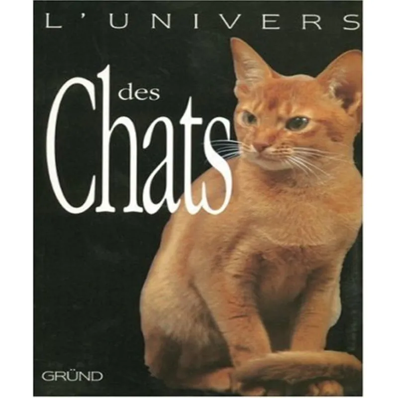 Lunivers Des Chats