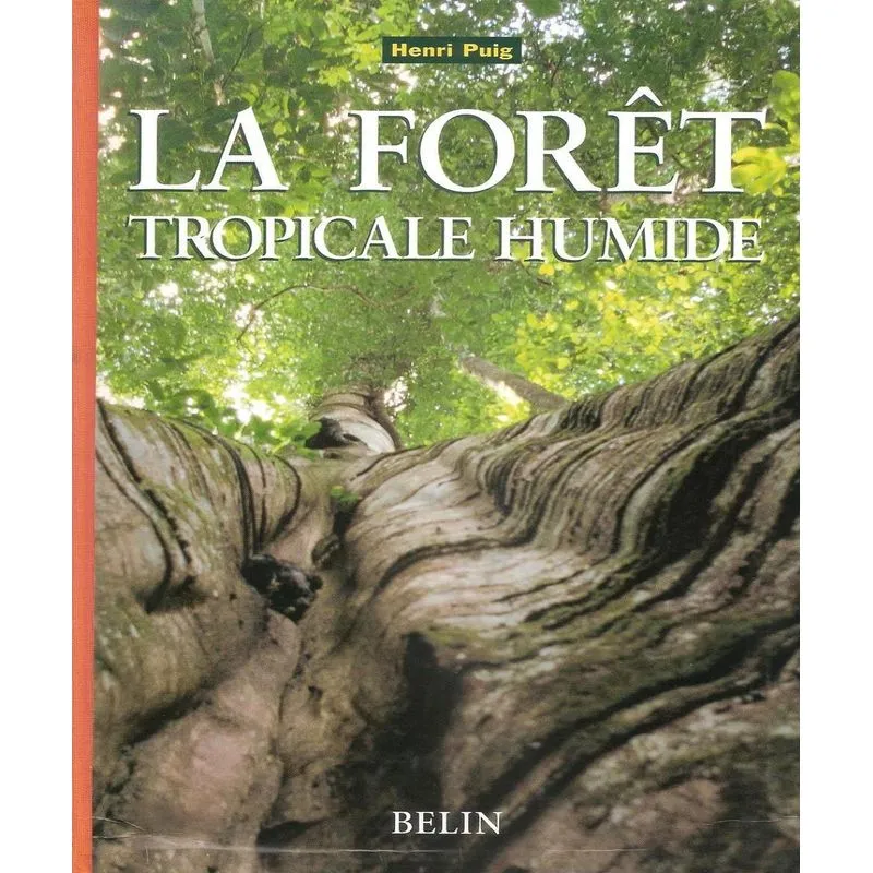 La Forêt Tropicale Humide