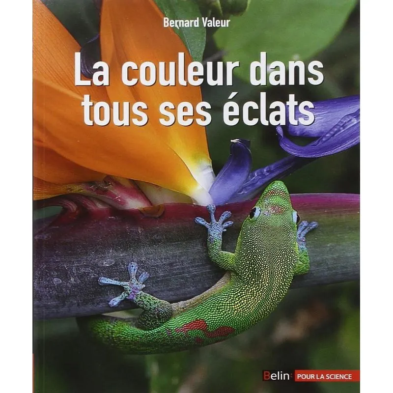 La Couleur Dans Tous Ses Éclats