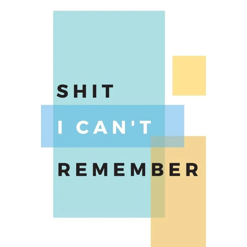 Shit I Cant Remember