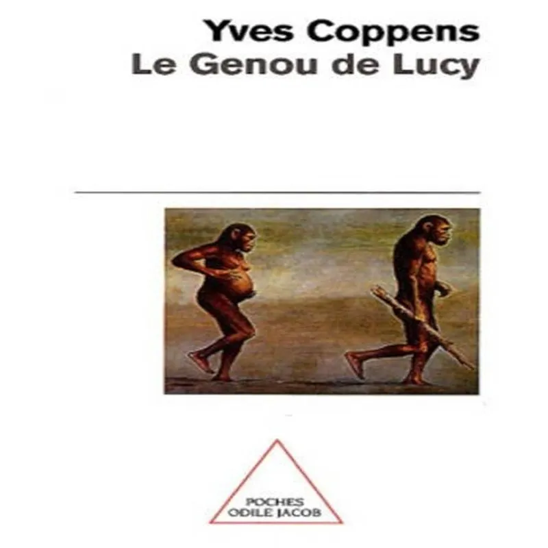 Le Genou De Lucy - Lhistoire De Lhomme