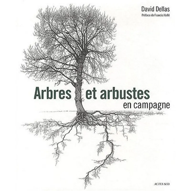 Arbres Et Arbustes En Campagne