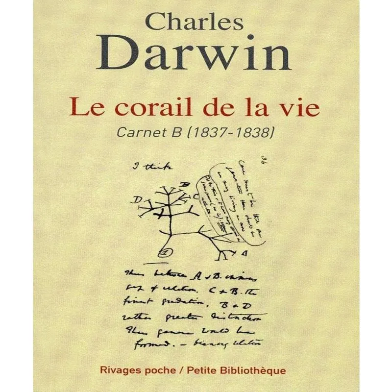 Le Corail De La Vie - Carnet B (1837-1838)