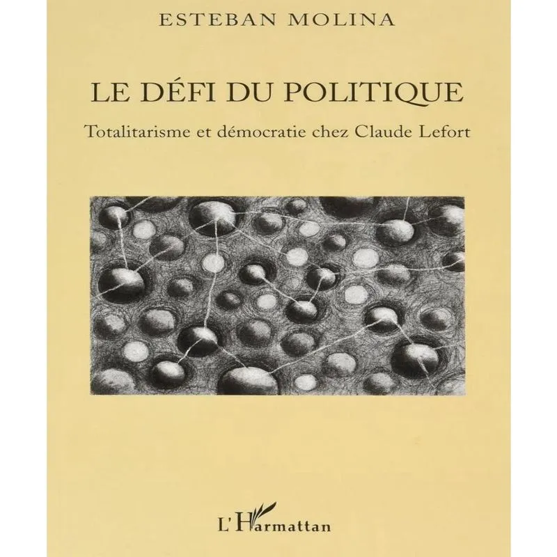Le Défi Du Politique