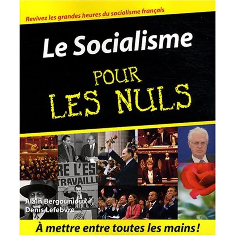 Le Socialisme Pour Les Nuls