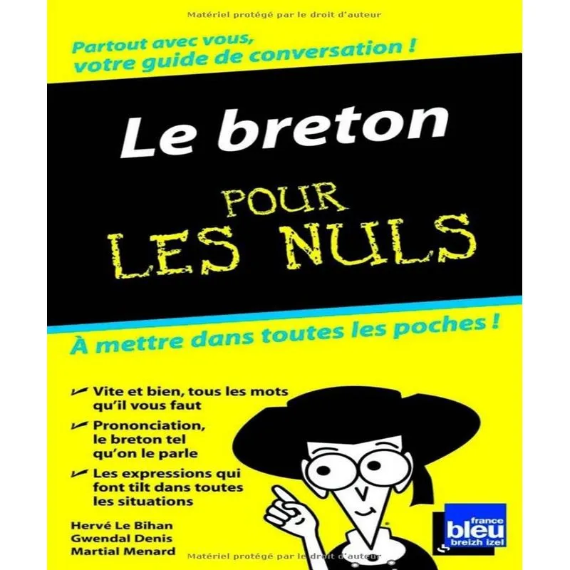 Le Breton Pour Les Nuls
