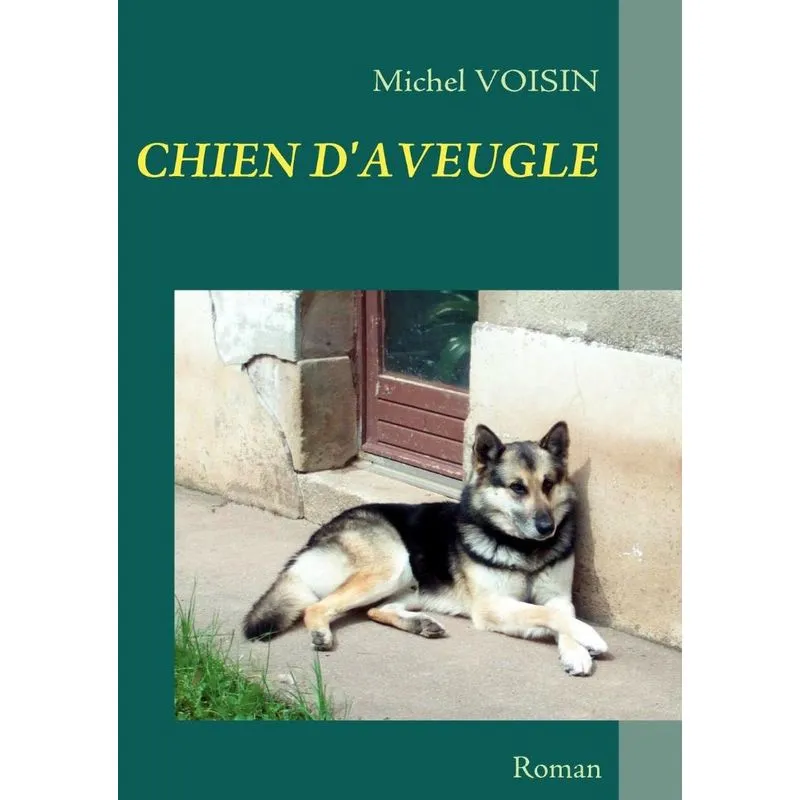 CHIEN DAVEUGLE