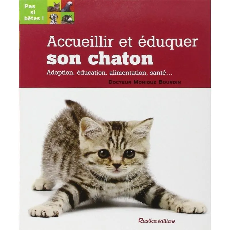 Accueillir Et Éduquer Son Chaton
