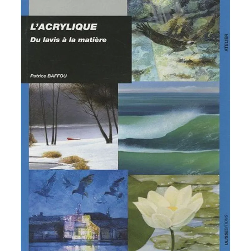 Lacrylique: Du Lavis À La Matière