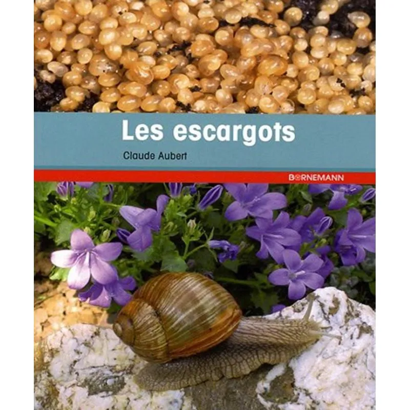 Les Escargots